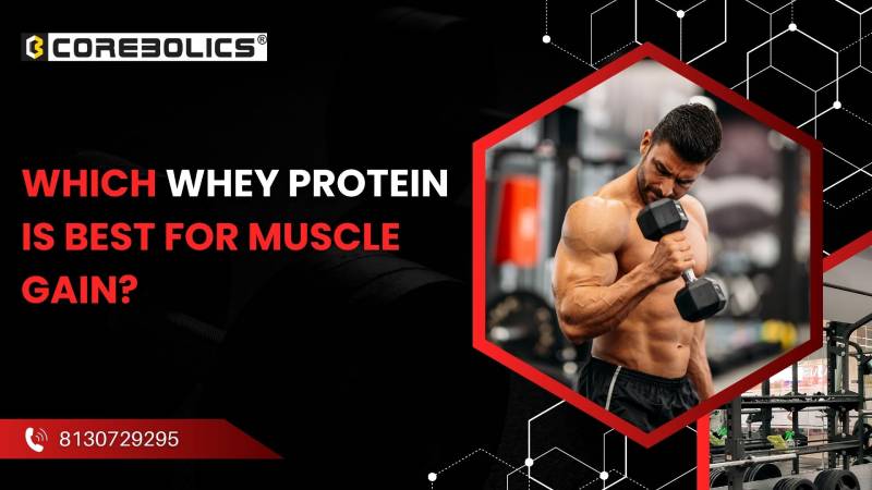 Which Whey Protein is Best for Muscle Gain?