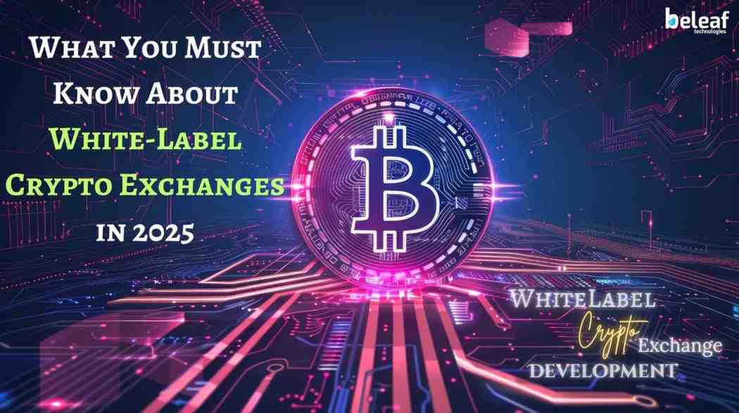 You Must Know About White-Label Crypto Exchanges 1 WhiteLabel Crypto