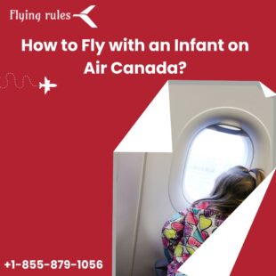 air canada flying with infant