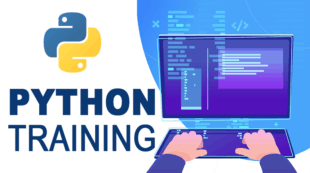 best python training