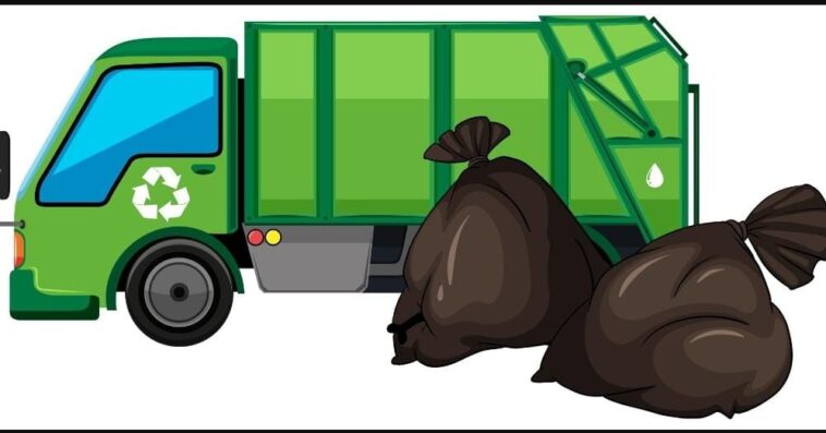 bins buddy
