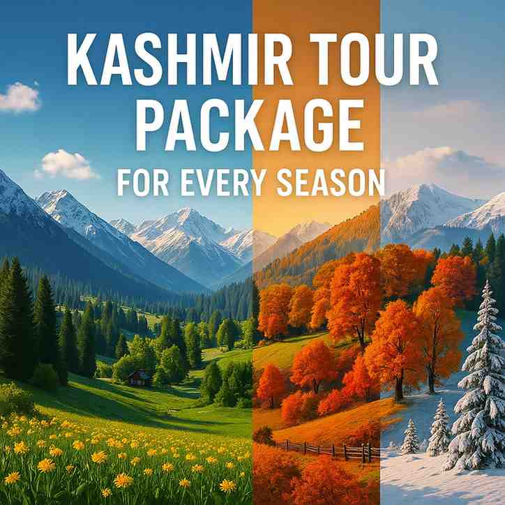 Kashmir Tour Packages for Every Season
