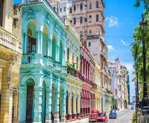cuba street 1