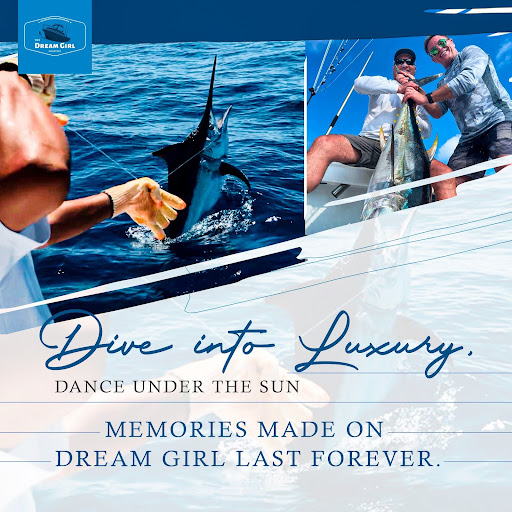 dream4