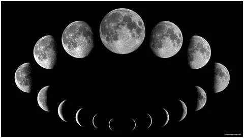 How the Moon Can Capture Your Most Special Moments