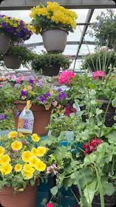Landscape Gardener Near Me – Caney Creek Nursery