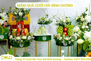 Trang Trí Cưới Hỏi Trọn Gói Bình Dương – Polla Wedding