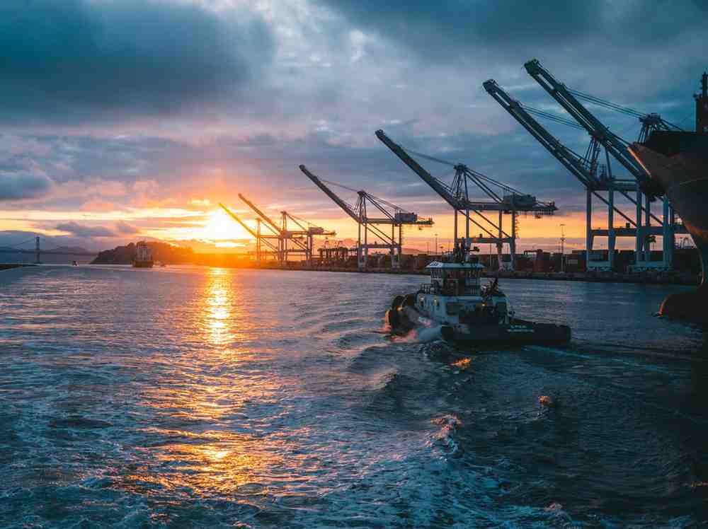 Aquaculture ERP with Odoo for Efficient Farm Management