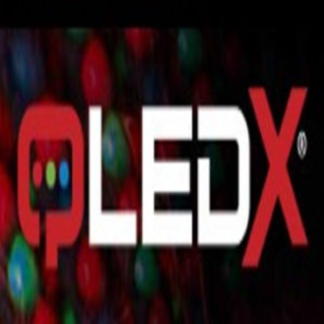 Qldex Nederland BV