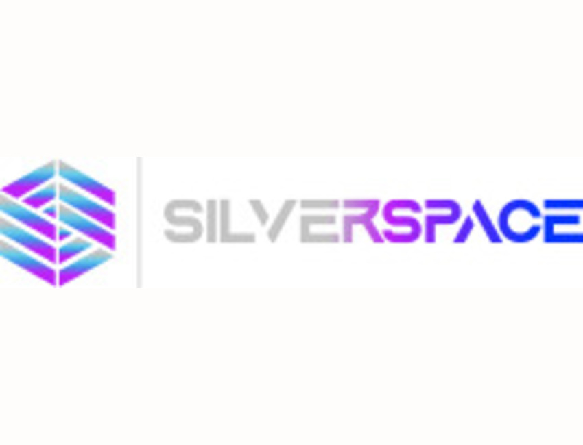 Healthcare Staffing Agency | Travel Nursing Agency 1 silverspace logo 2