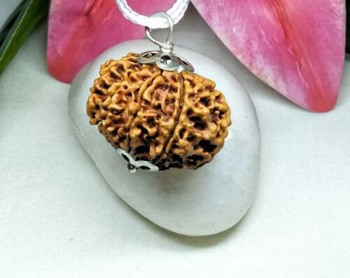 10 mukhi