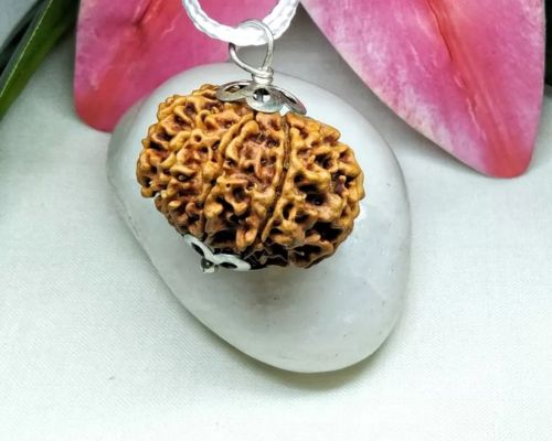 10 Mukhi Rudraksha Nepal: Transform Your Life