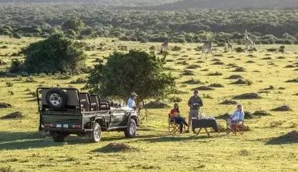 Africa Unforgettable Safari Holidays Travel Experiences