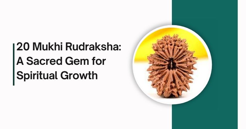 20 Mukhi Rudraksha: A Sacred Gem for Spiritual Growth 1 20 Mukhi Rudraksha A Sacred Gem for Spiritual Growth