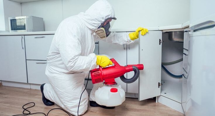 Proactive Prevention Strategies Between Professional Services