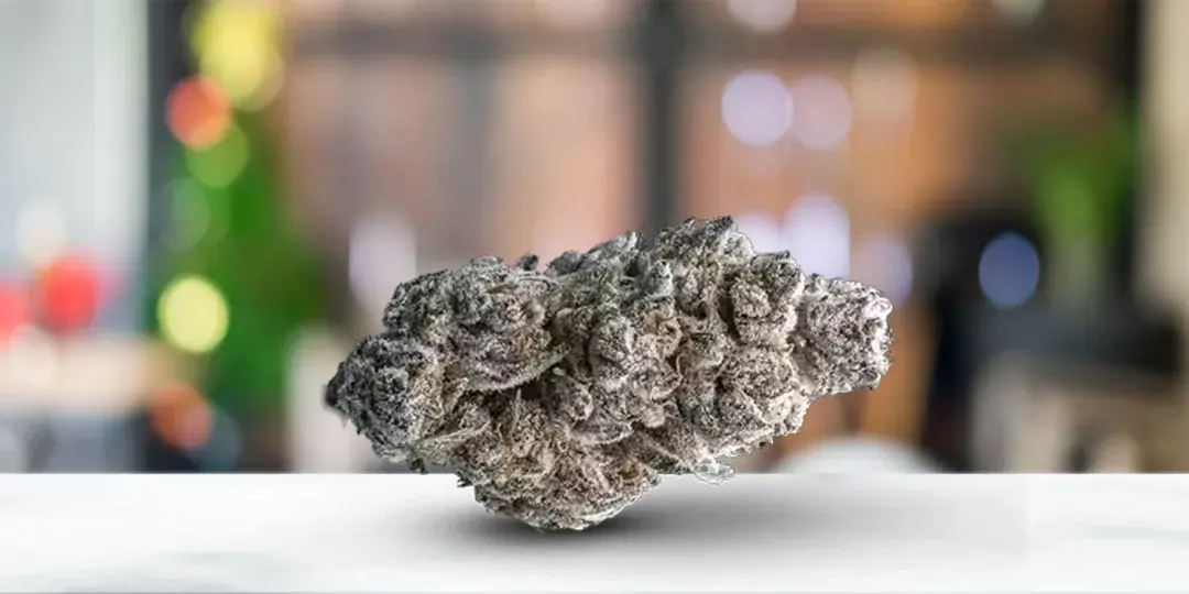 Top 10 THCa Flower Strains for Stress and Anxiety
