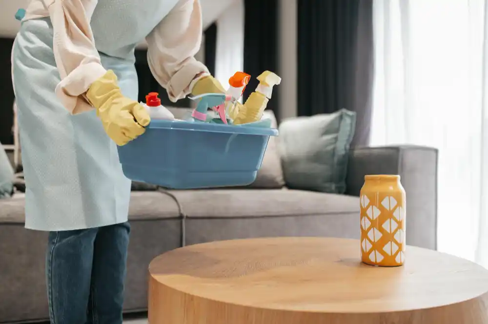 House cleaning services