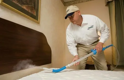 The Role of Bed Bug Treatmen in Commercial Spaces