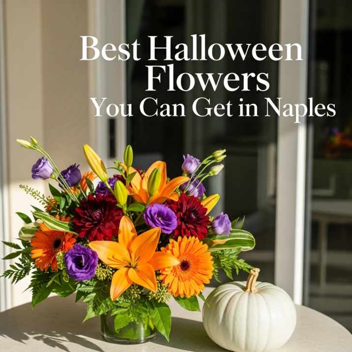 Best Halloween Flowers You Can Get in Naples