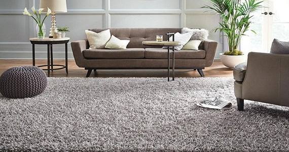 right carpet for home