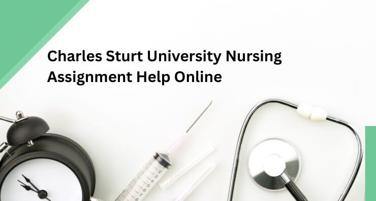 nursing assignment help