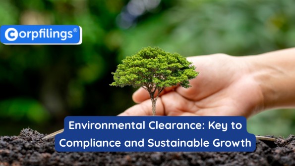 Environmental Clearance Guide for Businesses