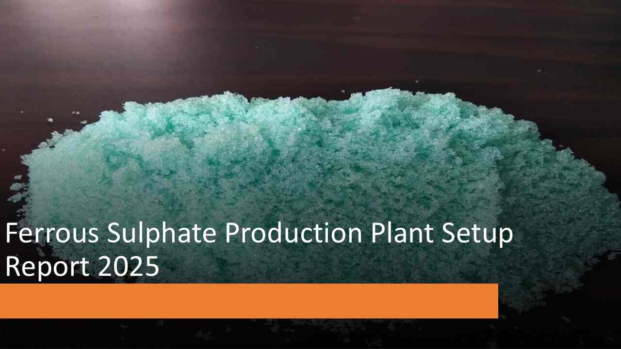 Ferrous Sulphate Production Plant Cost Setup Report