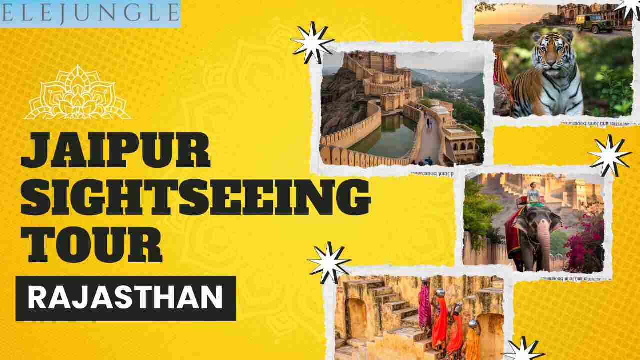 Jaipur Sightseeing Tour Cultural Heritage