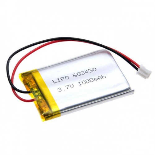 Lithium-Polymer Battery Manufacturing Plant Cost Report