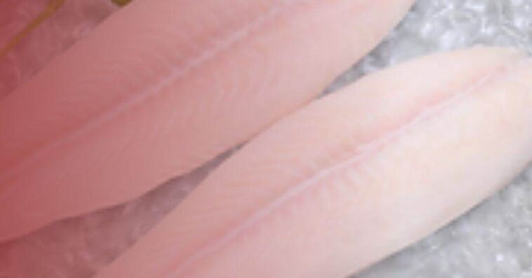 Live Fresh Seafood supplier
