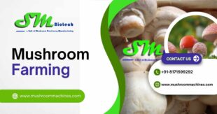 MushroomFarmingpost 1