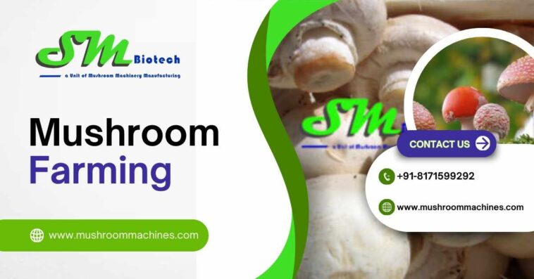 MushroomFarmingpost 1