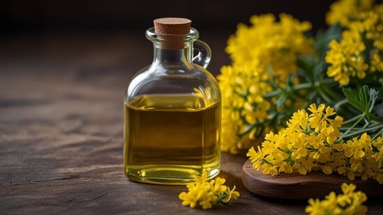 Rapeseed Oil Price Trend 2025: Forecast, Chart & Index