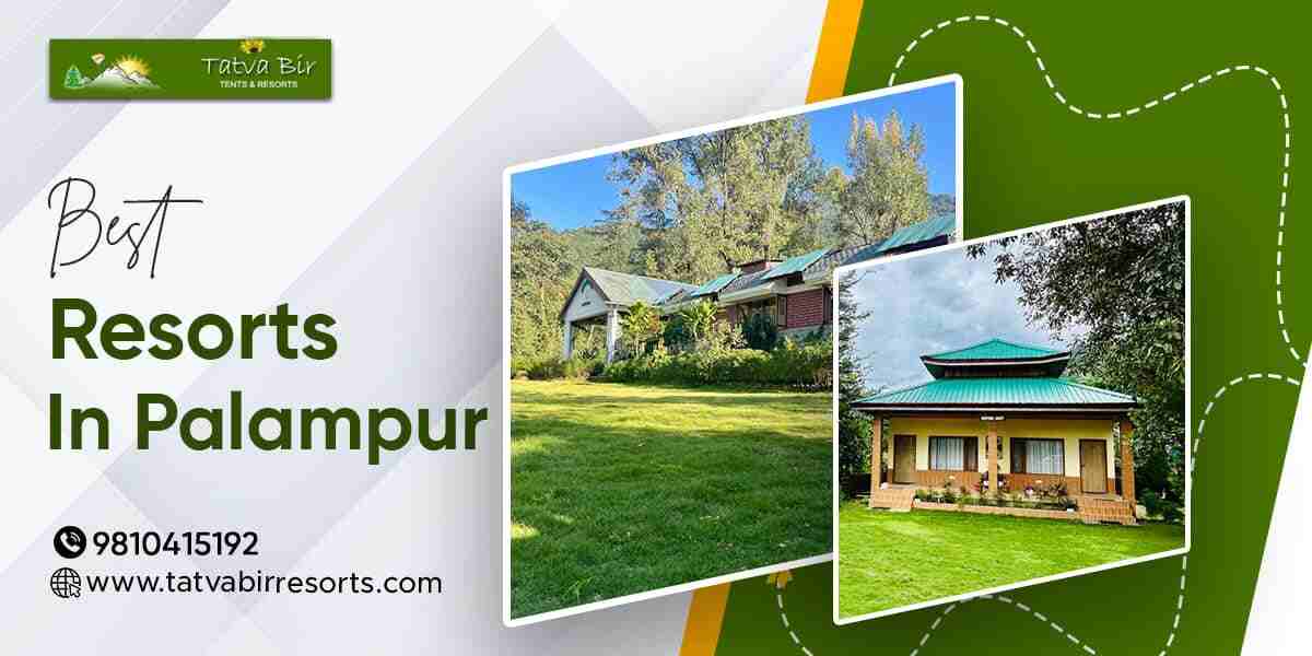Exploring the Best Resorts in Palampur