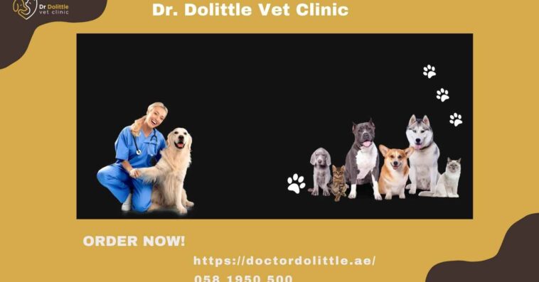 Vet Clinic dubai