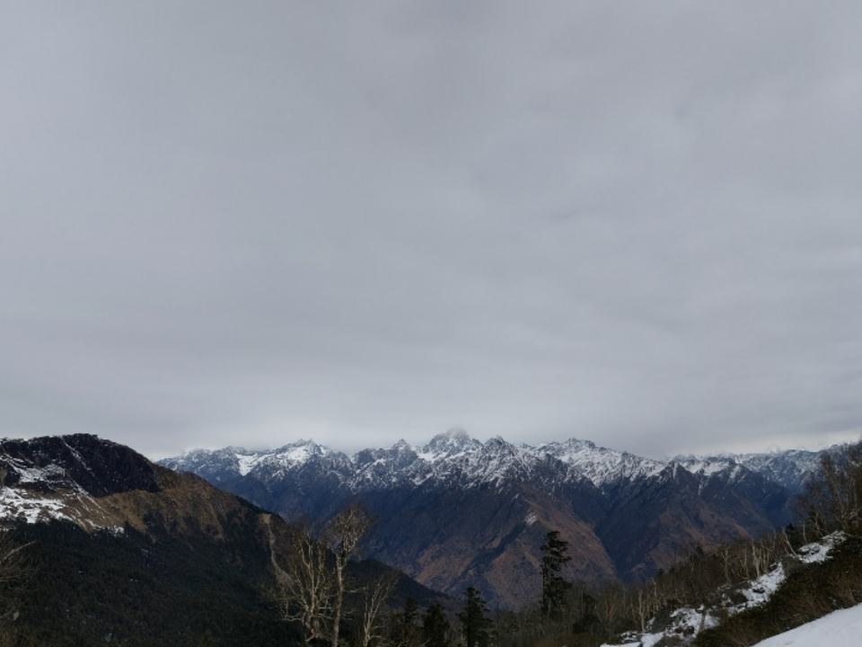 Kuari Pass Trek: The Day Altitude Tested Me