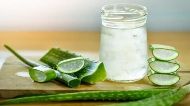 Rojana Aloe Vera Juice Peene Se Milte Hain Ye 10 Fayde