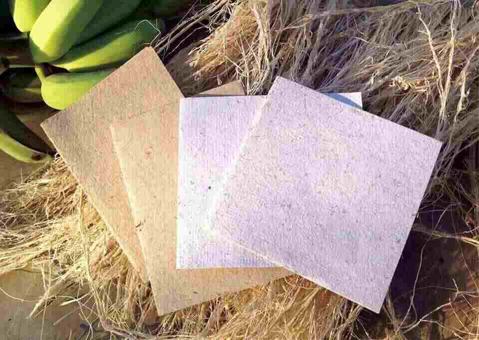 Banana Paper Manufacturing Plant Setup Guide 2025