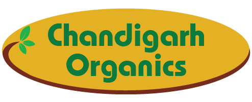 logo new