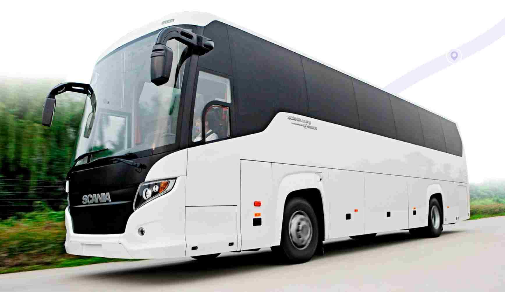 Make Every Mile a Party with Celebration Party Bus!