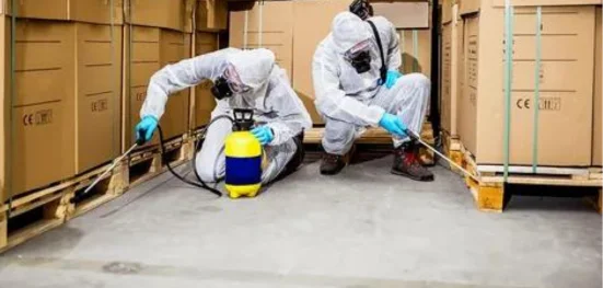 Oshawa’s Trusted Guide to Safe Pest  Solutions