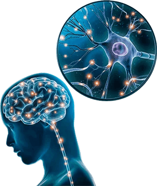 The Brain Song: How Music Transforms the Mind