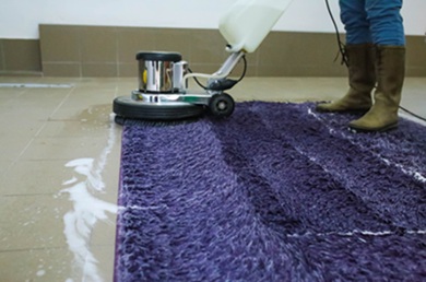 what kills parvo on a carpet 1701763243