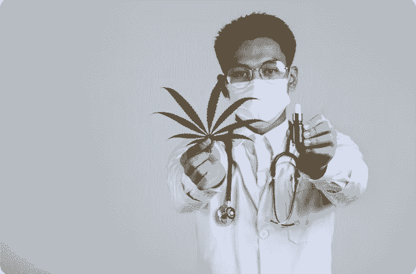 Your Complete Guide to Weed Life Insurance