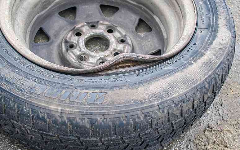 Dealing with Different Types of Wheel Repairs A24 12 774x484 1