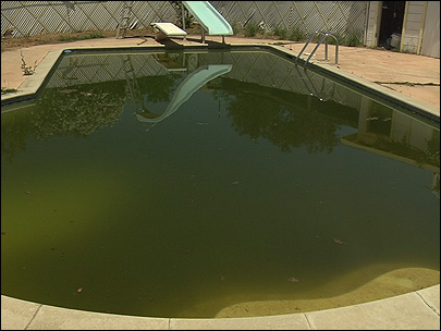 Shocking Your Pool: When, Why, and How to Do It Safely