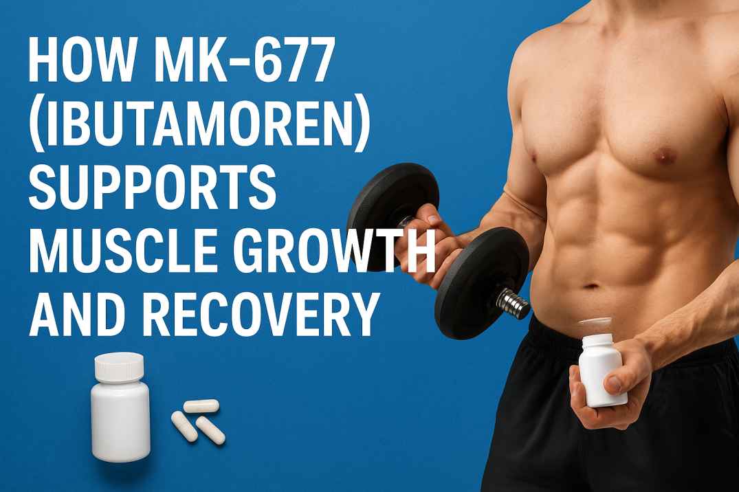 How MK-677 Supports Muscle Growth and Recovery