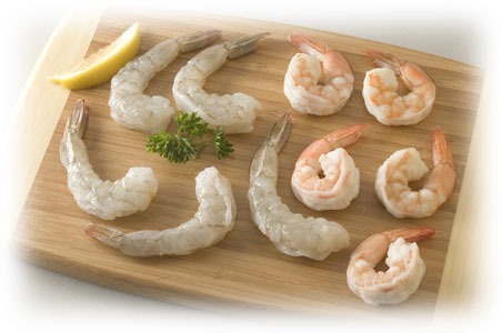 Setting up a Shrimp Processing Plant Project Report