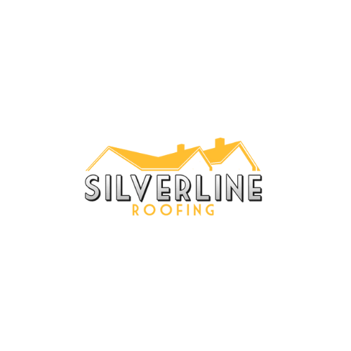 Silverline logo