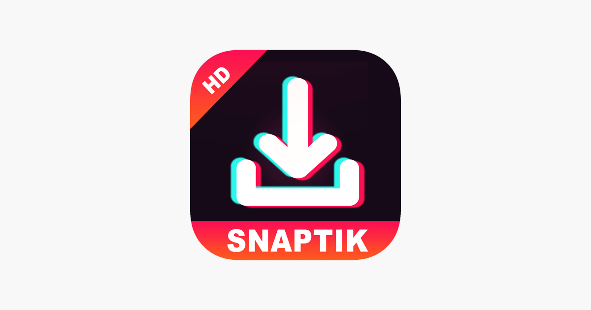 SnapTik Story Viewer
